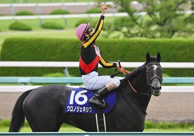 競馬予想になります 地方重賞中央厳選馬を排出していきます。 イメージ1