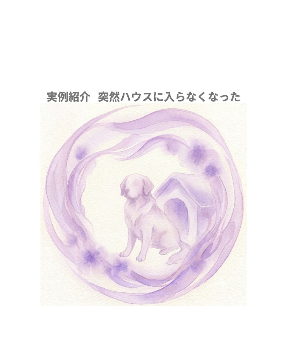 ペットの気持ちをアニマルコミュニケーションで視ます 限定特価中◆犬・猫・鳥・うさぎなどの動物を鑑定致します イメージ4