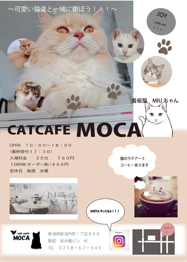 チラシフライヤーポスター看板デザイン作成します 各種チラシなどのデザイン作成承ります♡ イメージ6