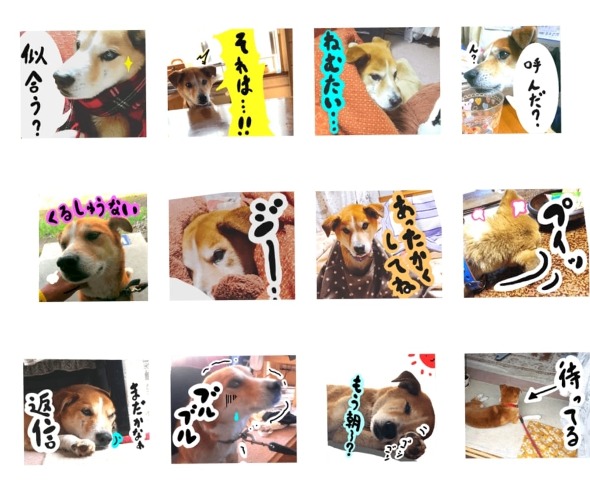 商用・個人用オリジナルLINEスタンプを制作します かわいいスタンプをプレゼント用やビジネス用など幅広く使えます イメージ8