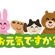 あなたの幸せを全力サポートします あなたの心に寄り添い、幸せな未来を共にみつけます。 イメージ9