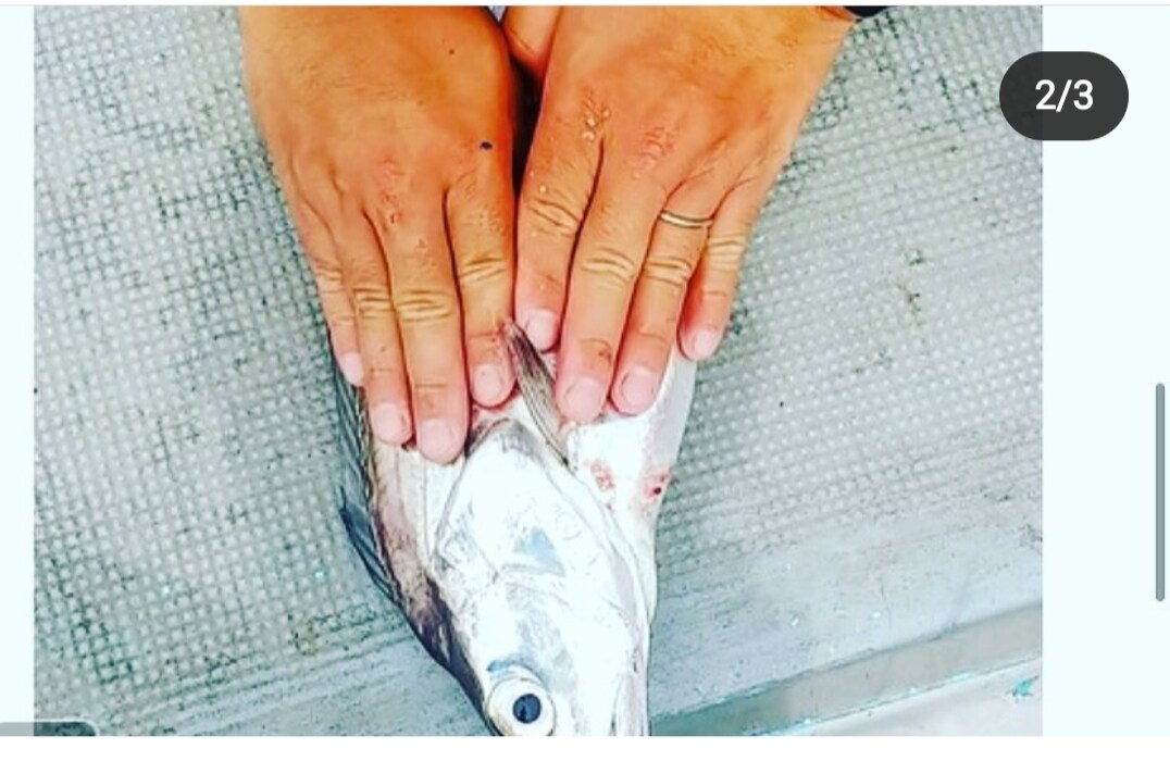初心者の方必見!　釣り道具や釣り方教えます 予算やスタイルに合わせて相談に乗ります。 イメージ2