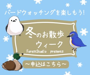 WEB用バナー作成します パッと見やすいWEB用バナーを作成します! イメージ2