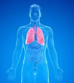 最強の気功技術4つ伝授で最強の自信と主導権を得ます 目に映る世界が変わる！天才性の発揮・自信・自分の印象を変える イメージ8