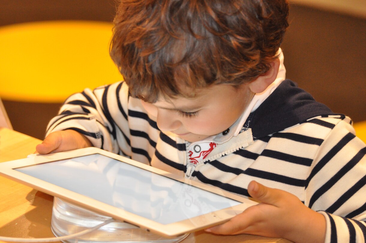 iPadを活用したシステム開発します 展示会や店舗・プレゼン等iPadを活用したシステムを即納 イメージ1