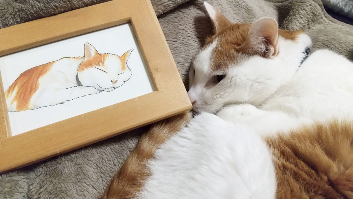 ペットや動物を絵本のようなイラストにします 犬、猫、鳥、花、昆虫、なんでも絵本の挿絵のようなイラストに！ イメージ5