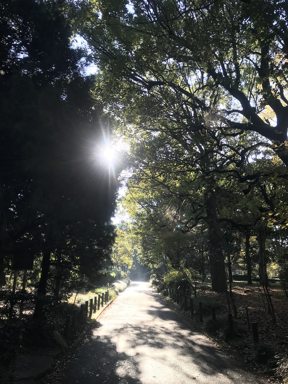 ふと誰かと話したくなったとき✨お話相手になります 心、体、人間関係…浮かんだことを自由にお話しくださいね✨ イメージ7