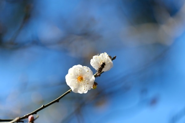 将来が不安、自分が何がしたいのか分からない方へます ご自身のこれまでの生き方を振り返り、未来を一緒に考えませんか イメージ1