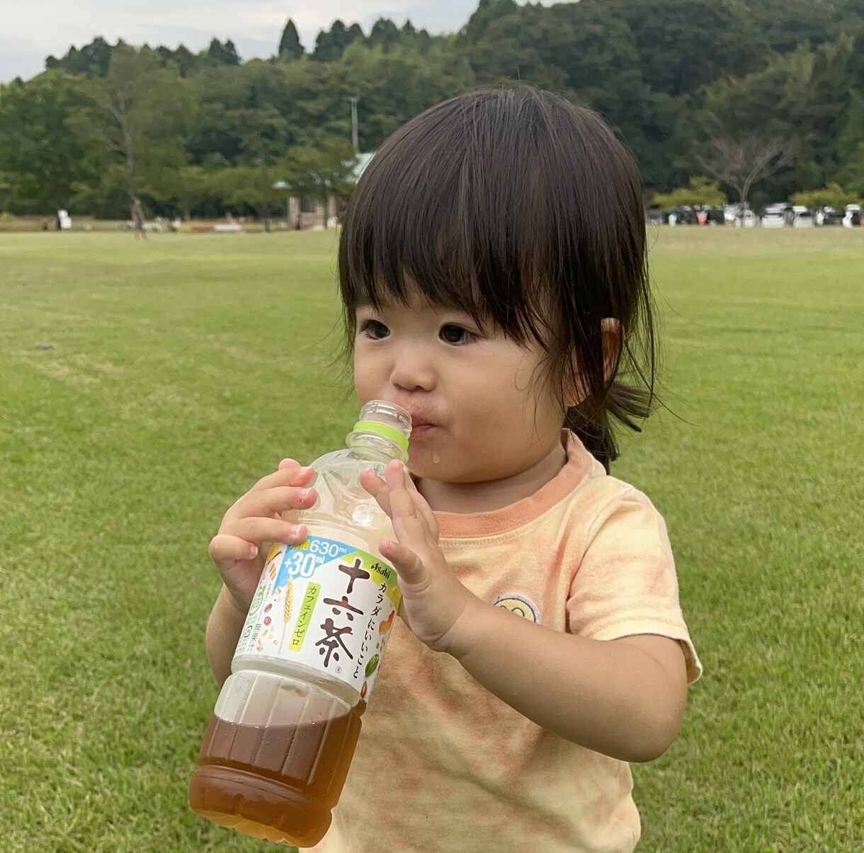 2歳半キッズモデルの商品の写真撮影代行します 【2歳半女の子キッズモデルが商品のお写真撮影代行します イメージ3