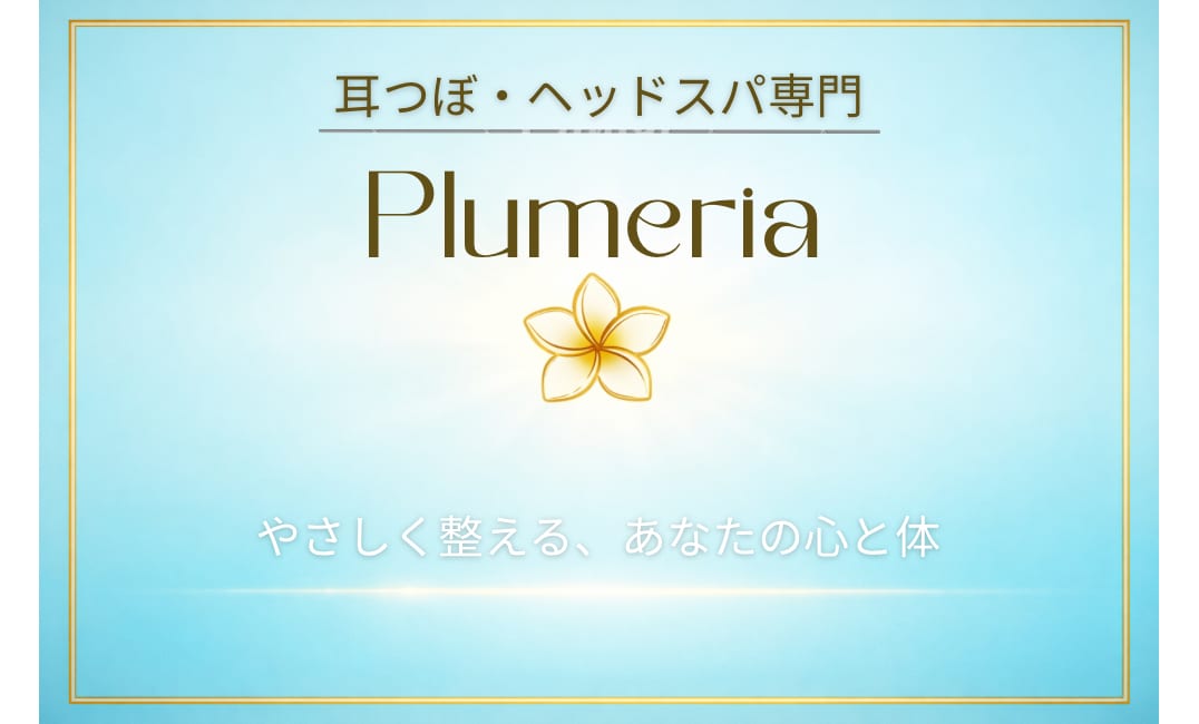 耳から心と体の状態を読み解きます あなたの不調の原因を耳から丁寧に読み解きます！ イメージ5