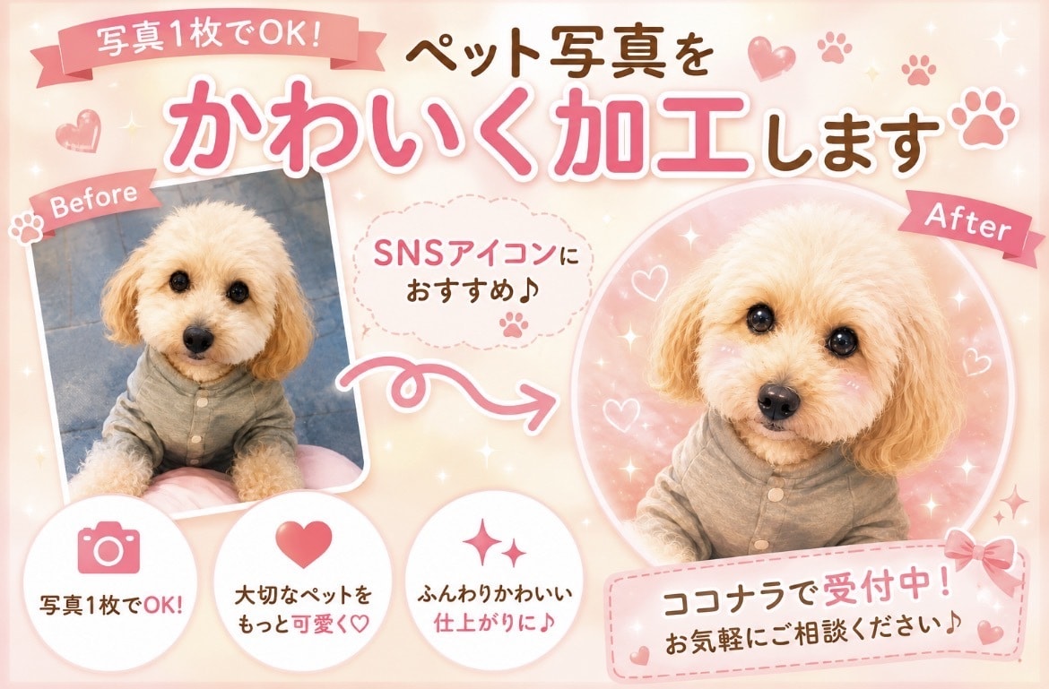 ペットの写真を可愛くSNSアイコン用に加工します 大切なペットの思い出を可愛く加工します イメージ1