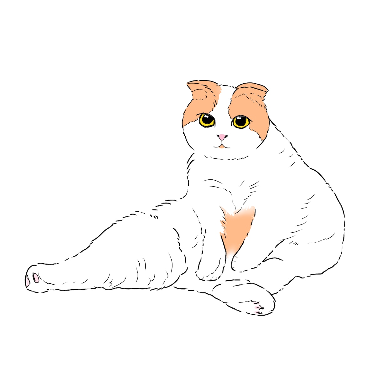 猫ちゃんの　イラスト描きます 世界に一枚のイラストをお描きします！ イメージ2