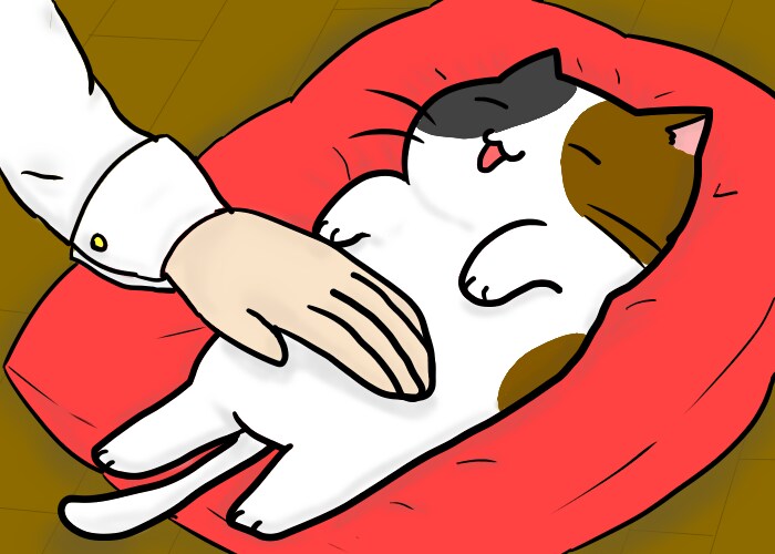 ご希望に沿ったイラストお受けいたします マスコット、ちびキャラ系のイラストが得意です イメージ1