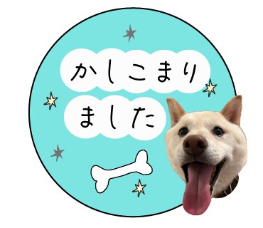 愛するペットやお子さんをLINEスタンプにします LINEスタンプ押しまくりましょう イメージ2