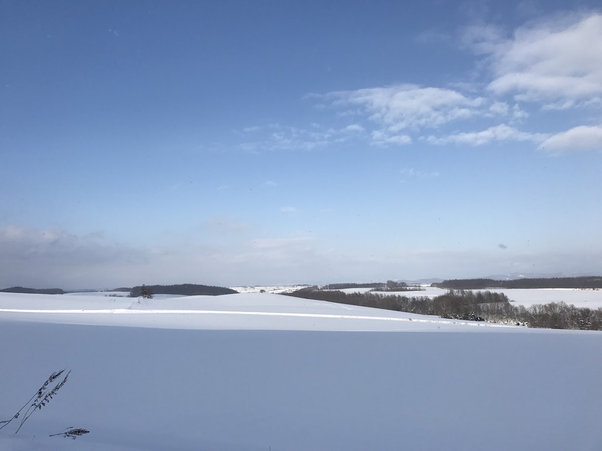 また来たくなる北海道観光をプロデュースます ガイドブックにはないあなただけの北海道旅行を提案致します イメージ1