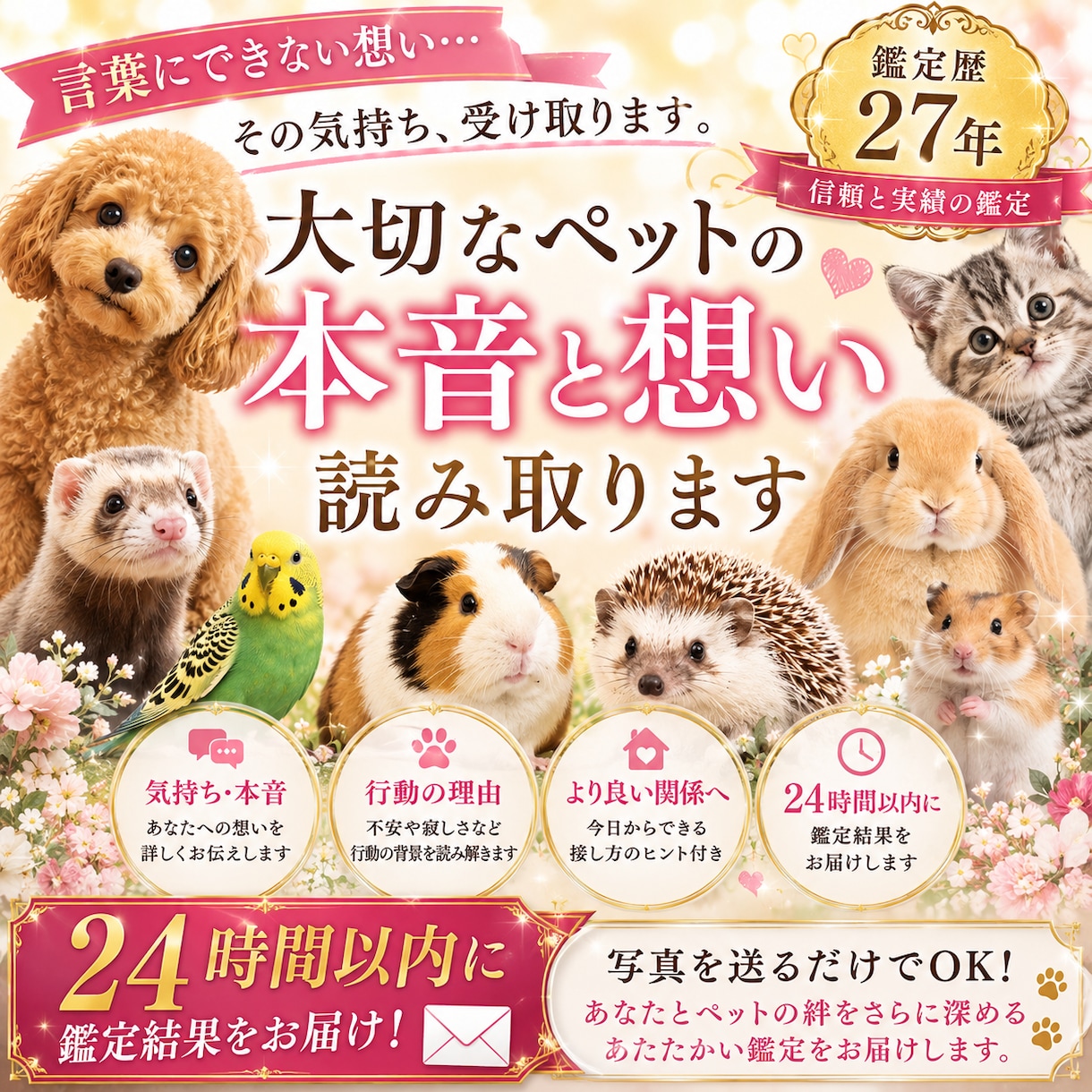 霊感霊視で大切なペットの気持ちを読み取ります 言葉にできないあの子の本音・あなたへの想いをお伝えします イメージ4