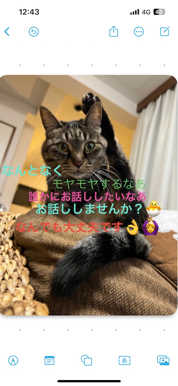 仕事や日常の愚痴、楽しくお話しさせていただきます 仕事の愚痴、家族の愚痴、恋愛、婚活、なんでもこいです！ イメージ1