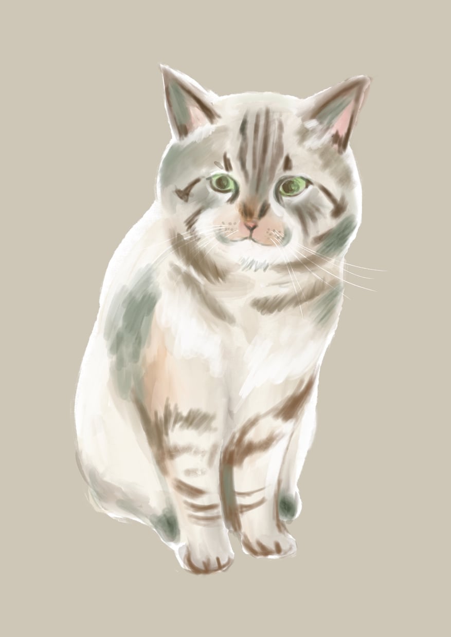 あなたの愛猫を描きます 愛猫の魅力をアートに！世界に一つだけのペットポートレート イメージ3