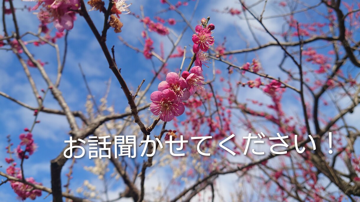 貴方のお話お聞きします 心の悩みや不安など話してみませんか？友達には話せないことも○ イメージ1