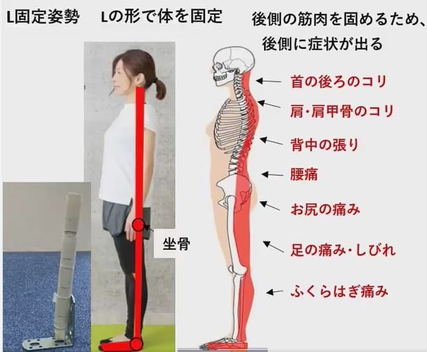腰痛が楽になる安定ゾーン＝姿勢改善方法を教えます 腰をスイスイ動けるようになる重心バランスを教えます～ イメージ4