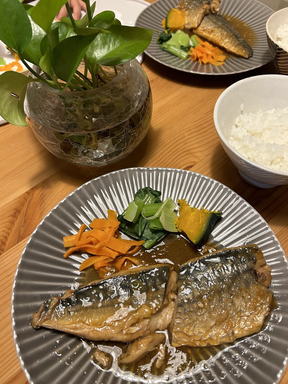 管理栄養士が3日分の食事アドバイスします 無理なく継続できる食習慣改善を管理栄養士が丁寧にサポート イメージ1