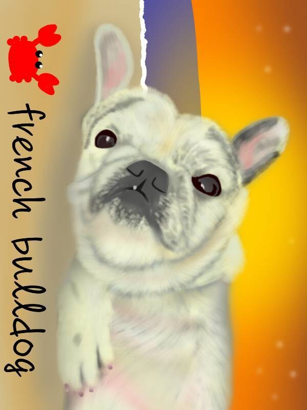 愛するウチのコのイラストを描かせて頂きます 写真をもとに、リアルでありながら温かなイラストに仕上げます。 イメージ9
