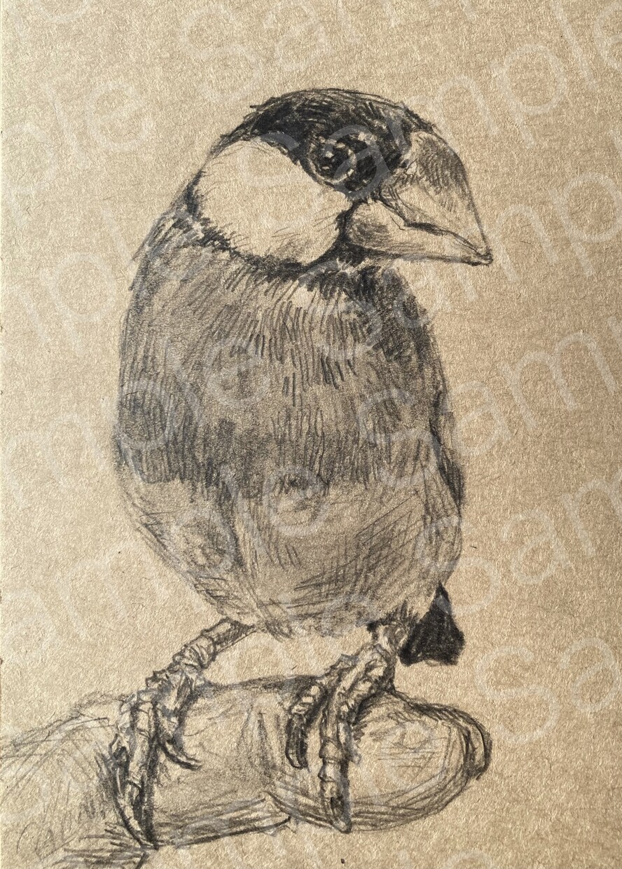 鉛筆でぬくもりを感じる動物の似顔絵を制作します 【葉書サイズ手描き鉛筆画】インテリア、贈り物、アイコン等に イメージ9