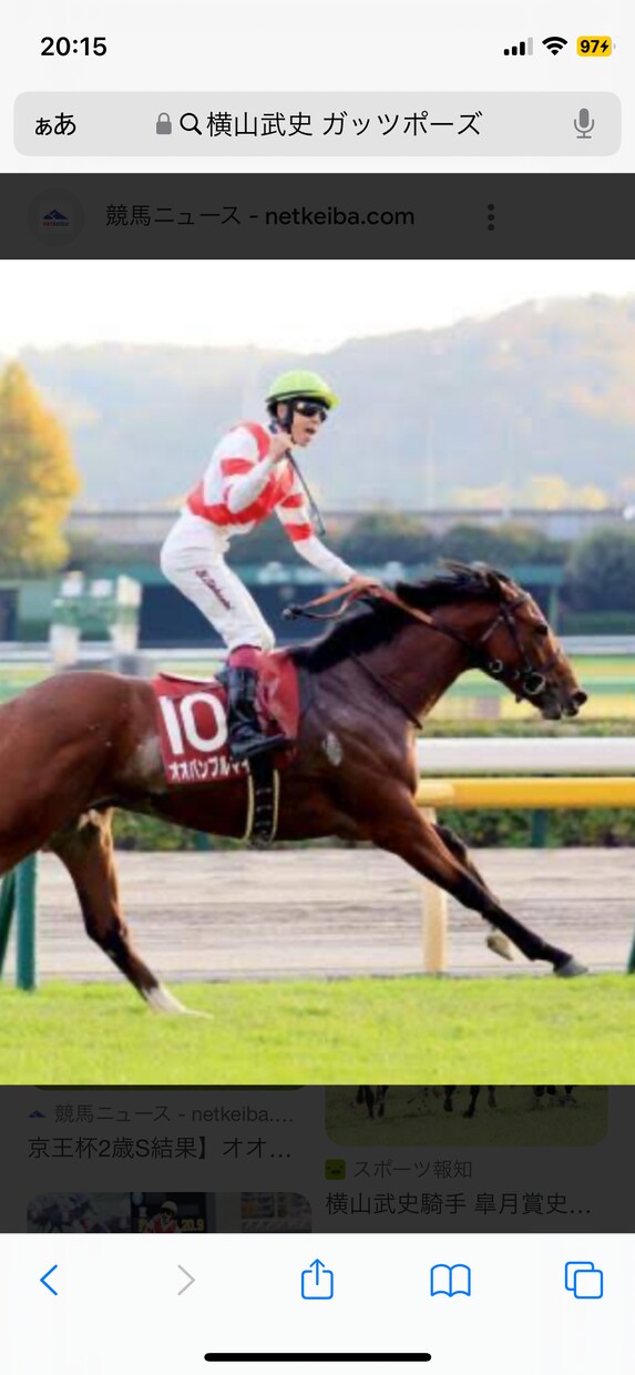 競馬の独自の見解と本命馬、推奨馬予想します あなたの予想を手助けします。展開から予想してます地方競馬も。 イメージ8