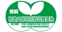 みかん農業の経営、栽培方法等ご相談に乗ります 日本唯一のみかん農家コンサルタントが丁寧にお答えします！ イメージ4