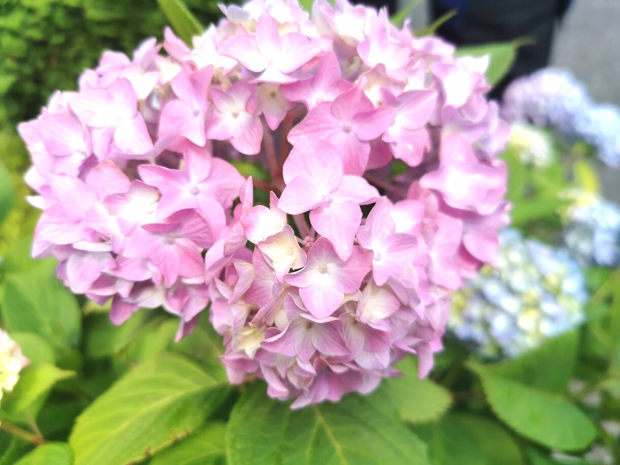 貴方の相談うけたまわります 一緒に考えて前に進む1歩を踏み出しましょう イメージ2
