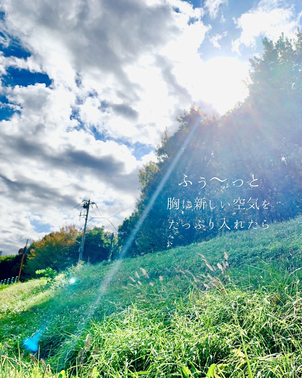 寝る前に少しだけ。安心できる時間をお届けします 穏やかな声でお話をお聴きします。お気持ちをそっと整えます。 イメージ7