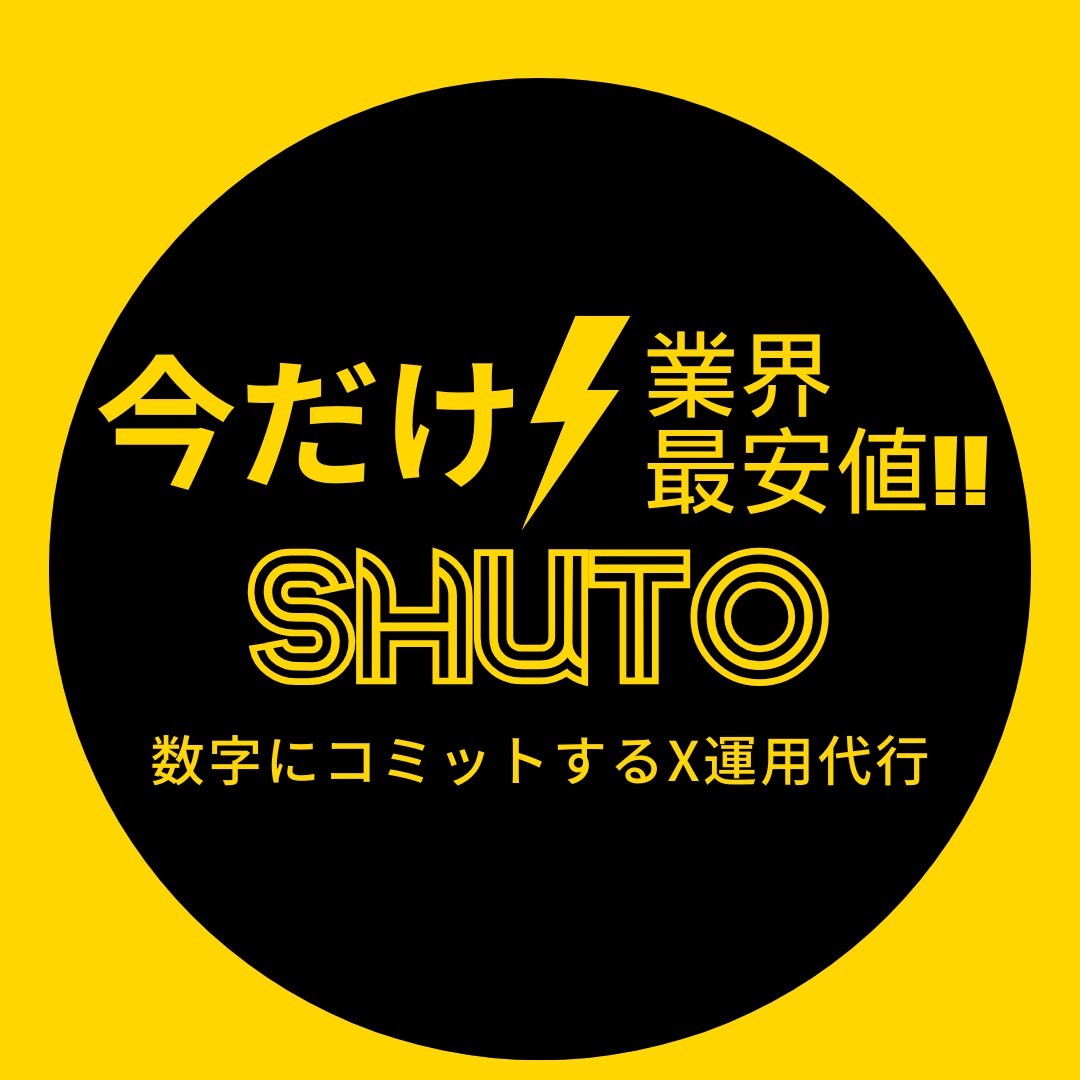 ココナラ初参入記念大幅割引！X立ち上げ伴走します ビデオチャットでXアカウント立ち上げ支援と運用指南します イメージ2