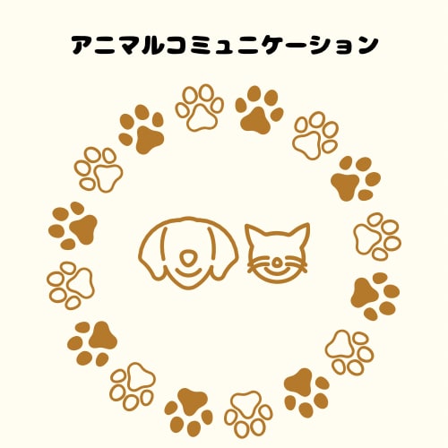 アニマルコミュニケーションします 質問5つ　アニコミを楽しみたい方へ イメージ1