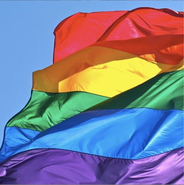 現役ビアン高校生が同じ悩みをもつ学生さんを助けます LGBT  現役レズビアン高校生 イメージ1