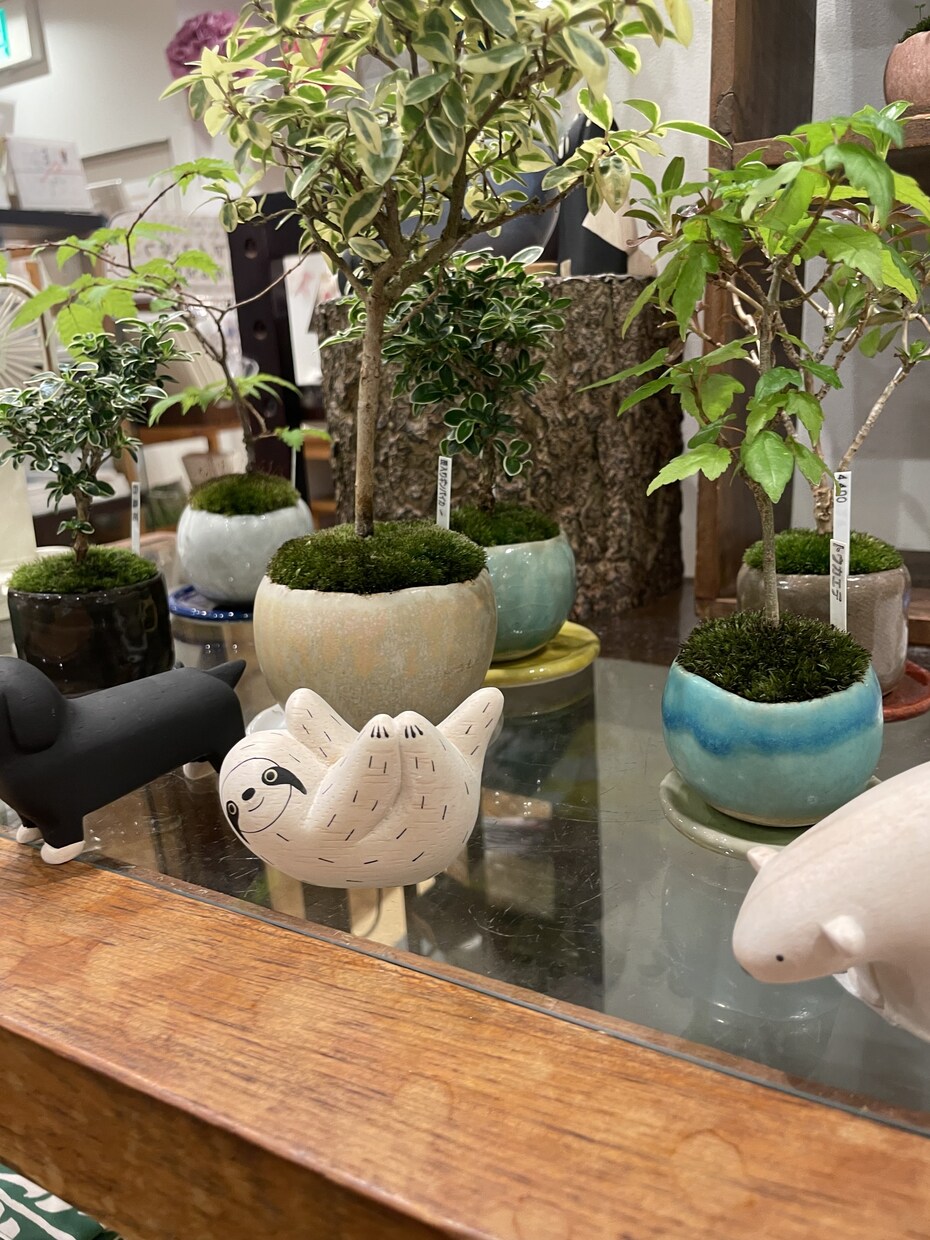 風景、花の画像提供します 風景、花、日常の写真提供します。 イメージ6