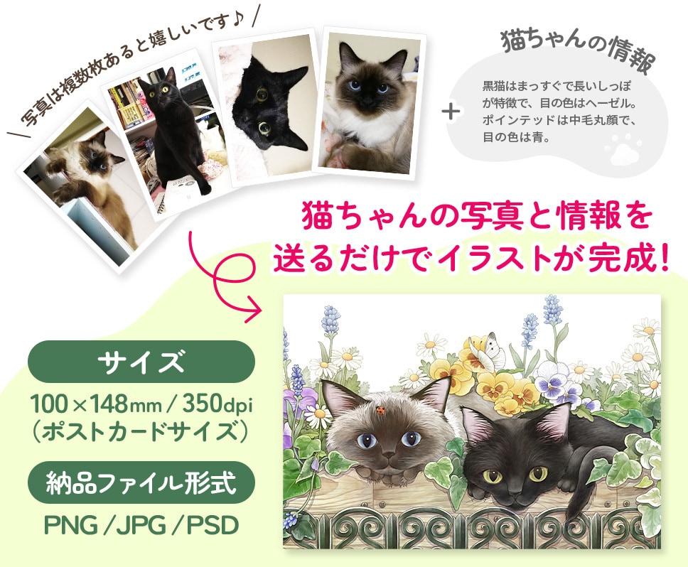 2匹まで追加料金無し☆猫ちゃんのイラスト描きます 背景・構図・ポーズおまかせ！猫ちゃんの写真と情報を送るだけ！ イメージ2