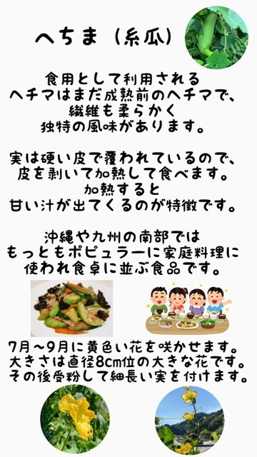 店内ポップ作ります 商品の豆知識を入れながら商品紹介を作ります。 イメージ3