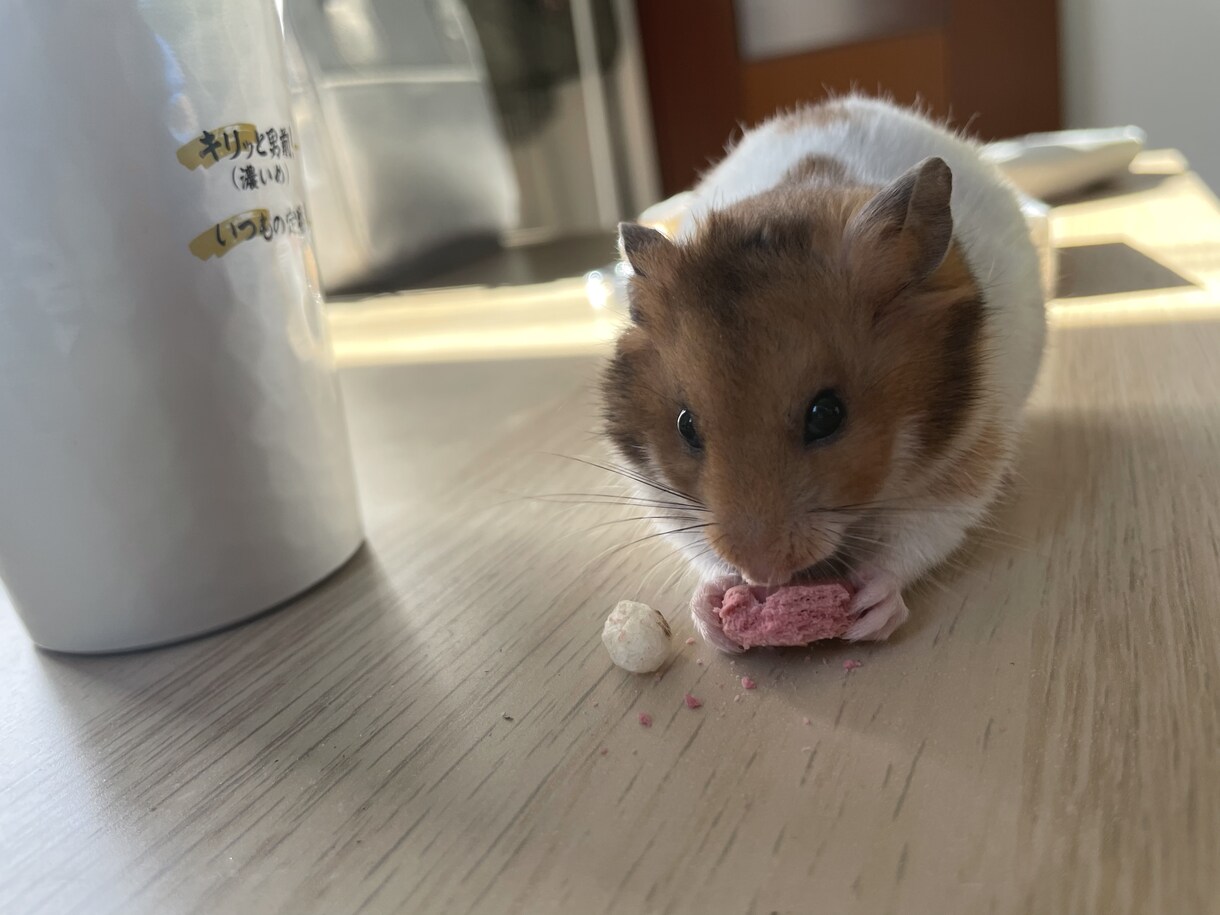どんな恋愛の悩みでも優しくお伺いします どんな小さい悩みでも僕に話してみてください！ イメージ1