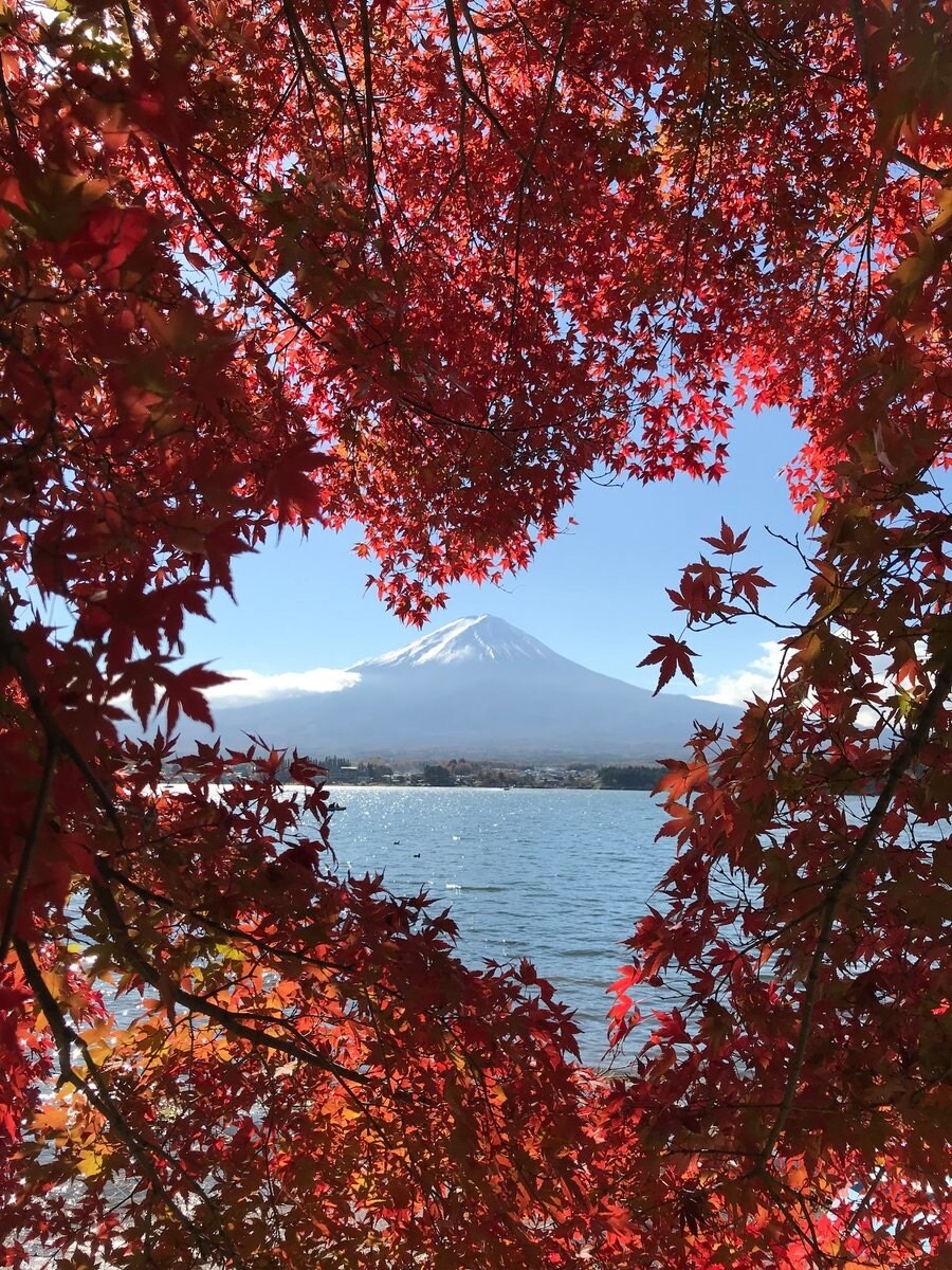 あなたのお話が、貴方を「元気」にします 「お互いに応援し合う社会を創る」サラリーマンと話しましょう イメージ1
