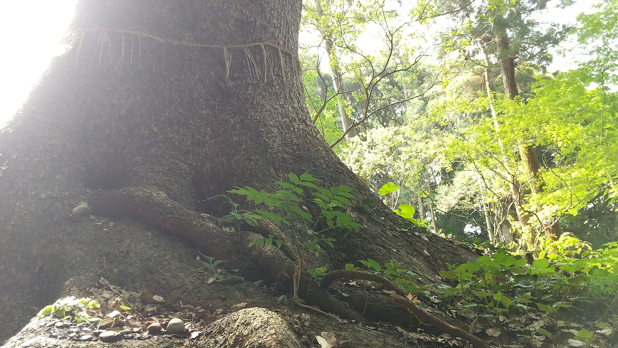 心が軽くなる気付き・ガイドメッセージを貰います 鑑定歴15年、霊感霊視でお手伝いします。 イメージ3