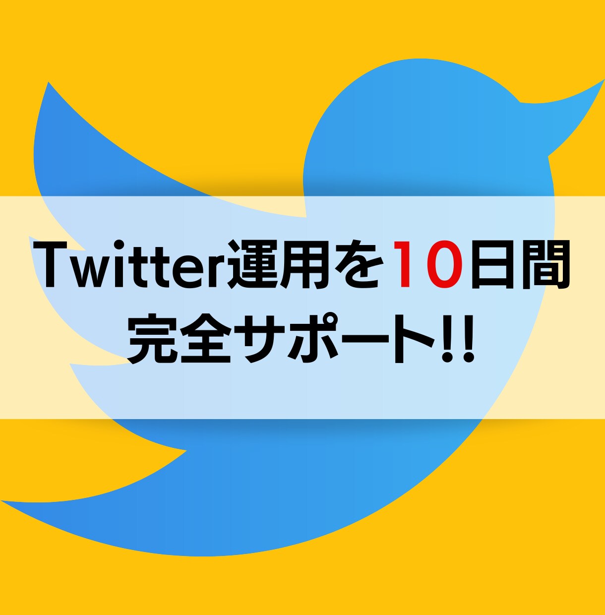 10日間Twitter運用をサポートします 本気で1000フォロワー目指す方必見です！ イメージ1