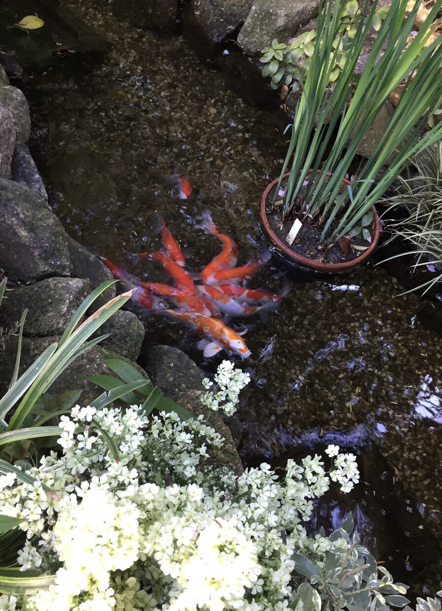 貴方に合った超簡単運気アップ方法教えます これさえ分かれば運気アップ！！ イメージ2