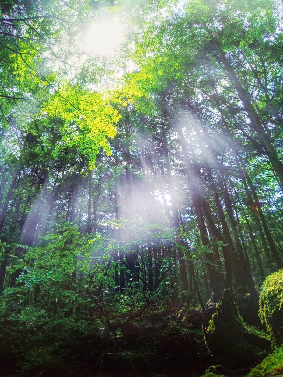 あなたが持つ心の力を引き出していく御手伝いをします 聞かせて下さい心の闇を!使命感を持って携わらせていただきます イメージ2