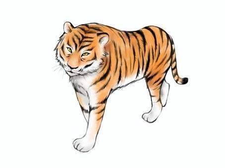 日本語と英語を、ベンガル語に翻訳します ネイティブがベンガル語の翻訳サービスを承ります。 イメージ1