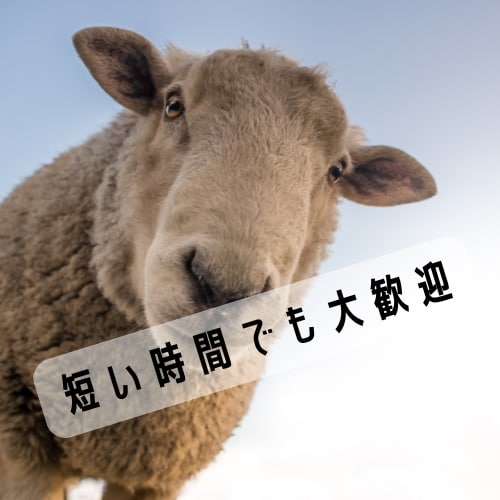 ちくしょ～！の話を聞きます おっさんに愚痴言ってスッキリ！(笑) イメージ2
