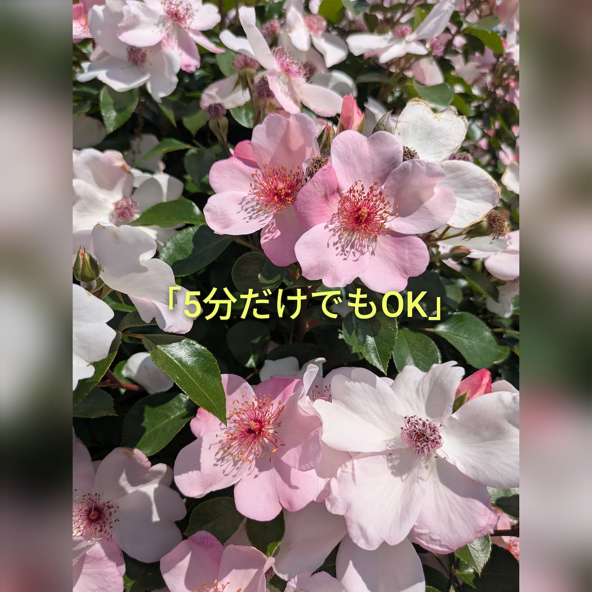 1人で抱え込んでいるお気持ちに寄り添います 子育て・不登校のお悩み。1人で抱えずお話ししませんか イメージ2
