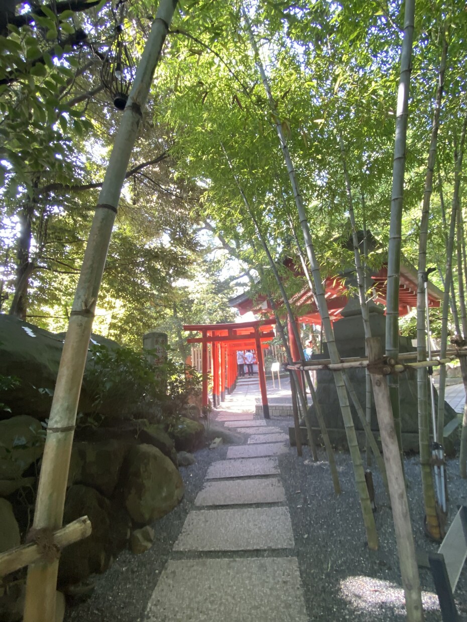 愚痴聞きます 恋愛、家庭の愚痴、悩みを聞きます。お気軽にお問合せ下さい♪ イメージ1