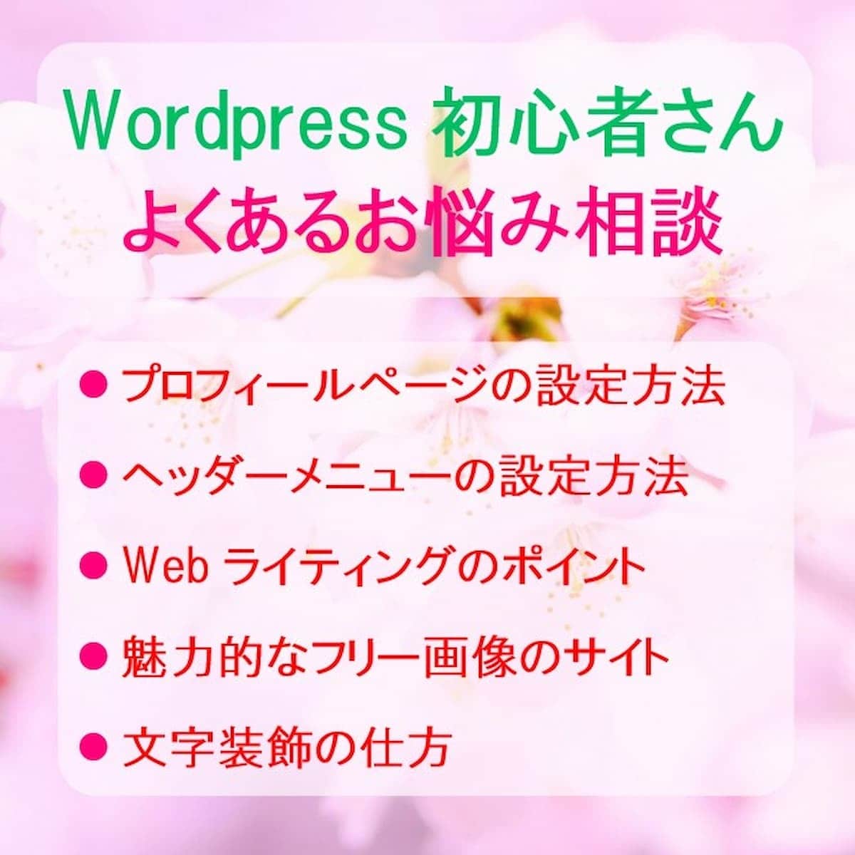 WordPressブログお悩み質問アドバイスします 基本操作を優しくサポート⭐初心者さんに寄りそい1日コンサル イメージ4