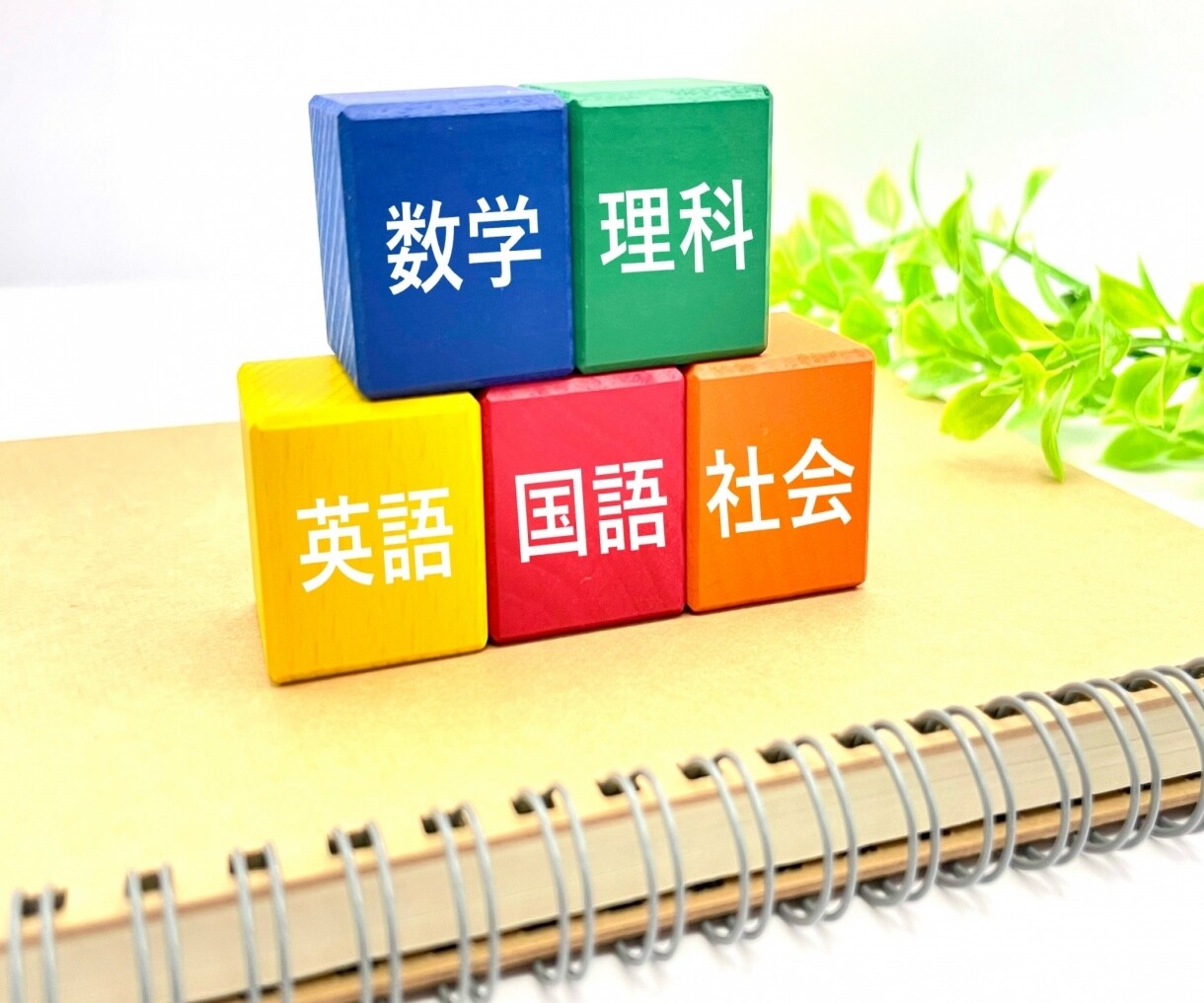 中学社会・高校入試社会の家庭教師をさせて頂きます 家庭教師指導歴10年の私が親切丁寧にご指導させて頂きます イメージ1