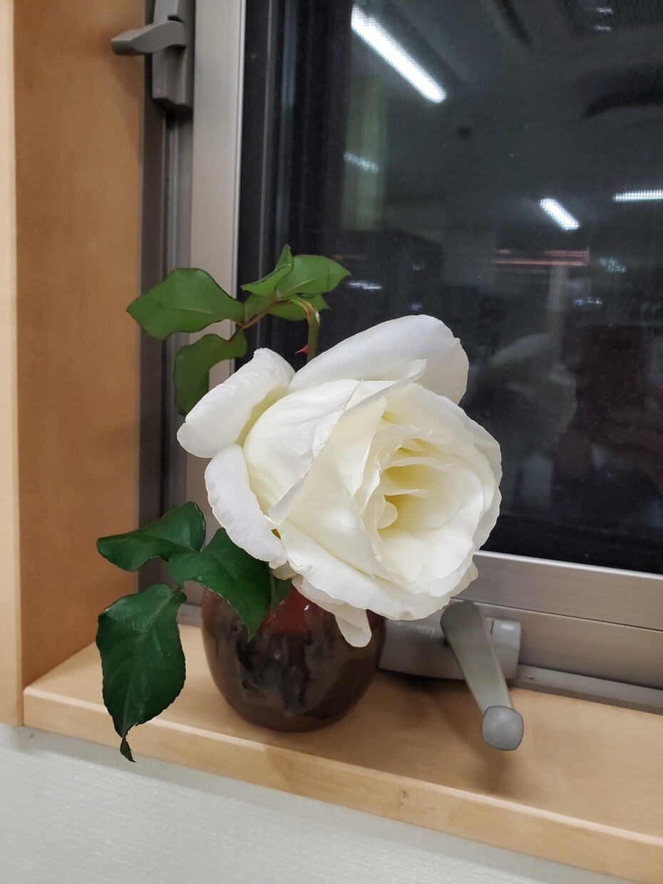 あの方に特別扱いされる未来へ☆あなたをいざないます あの方から追われたい。特別扱いされたい。未来を引き寄せます。 イメージ5